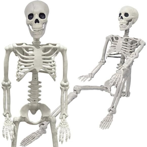 36" Skeleton Halloween Decor, 3FT Realistic Full Body Movable Posable Joints - Picture 1 of 8
